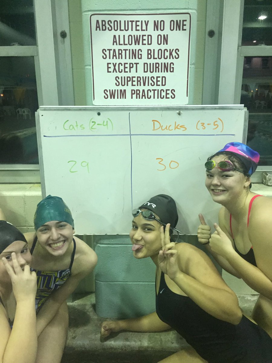 COMOswimming's tweet photo. The #barnyardbrawl is the closest cat and duck chase in history. #teamCoMo https://t.co/nCR09kmhjY