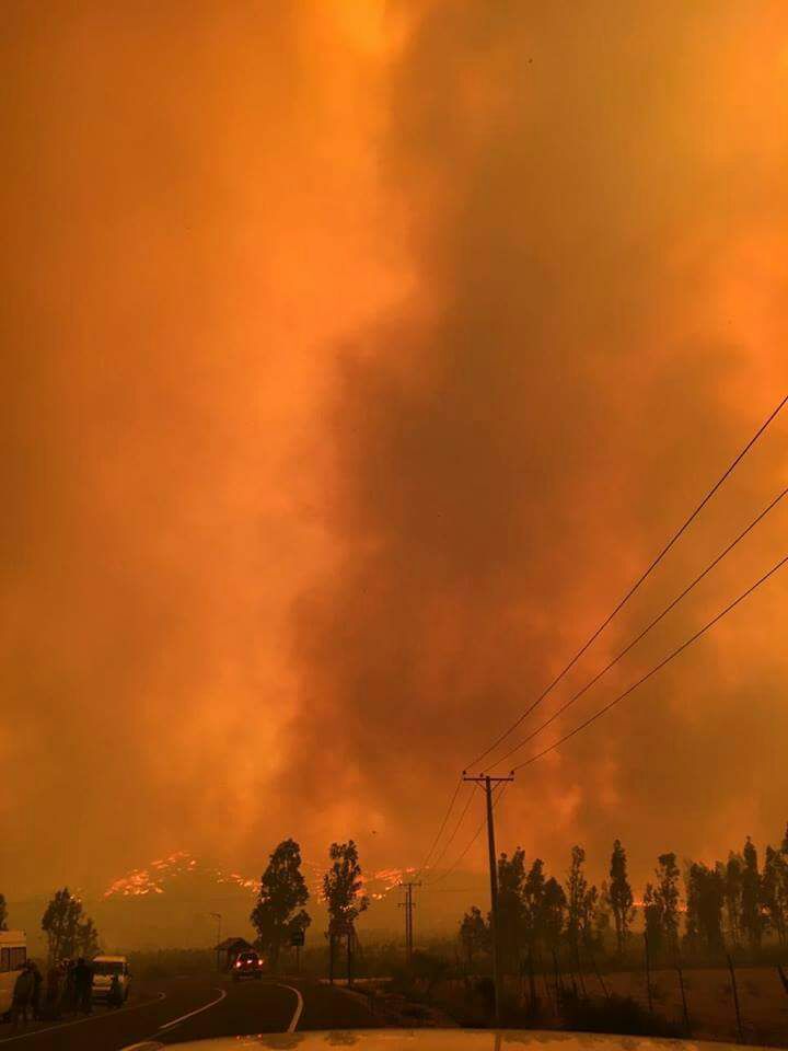 ESR_Informa's tweet photo. 🔴AHORA: Impresionante imagen de incendio forestal en #Pumanque https://t.co/XcCxKHD9jY