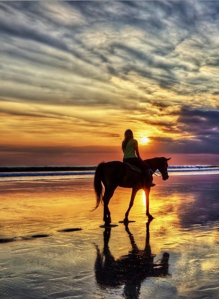 jessbrownsbergr's tweet photo. Dreaming about what I hope my future will be like. After this thing called college...The day will come.... #sweethorses #hogroast https://t.co/aYLeRCAH4c
