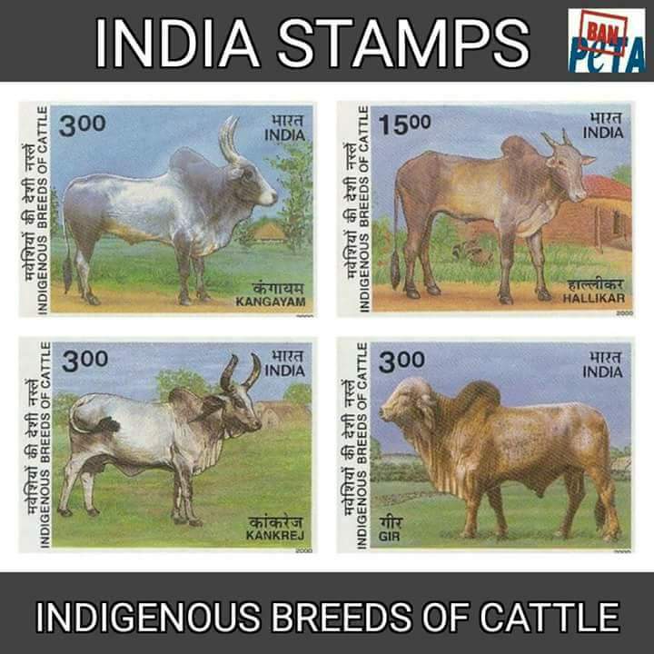 JallikattuJai's tweet photo. தமிழன் https://t.co/vE1F2ZgRzM