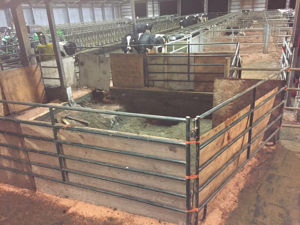 silvermaplehol's tweet image. Nice days work. Holding pen 1/2 gone. 2nd robot install underway.