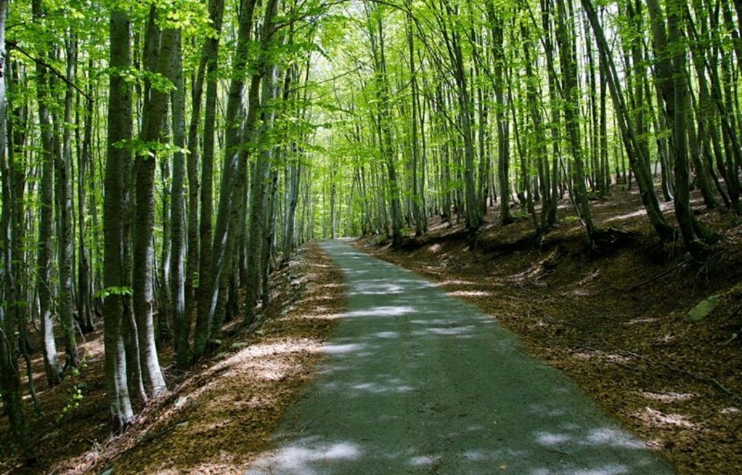 This weekend was gr8!  😊🚤🌳