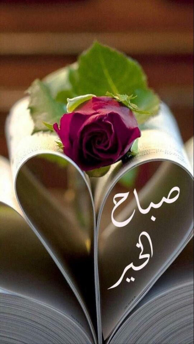 Abu_Turki3080's tweet photo. صباح الخير.... https://t.co/neMYVOuKS4