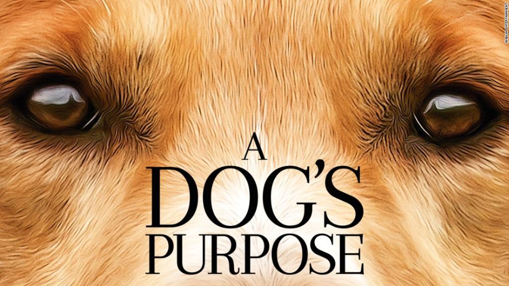 CNN's tweet image. A video reportedly showing a dog in distress on the set of &quot;A Dog&apos;s Purpose&quot; prompts group to call for a boycott cnn.it/2jNHJoK