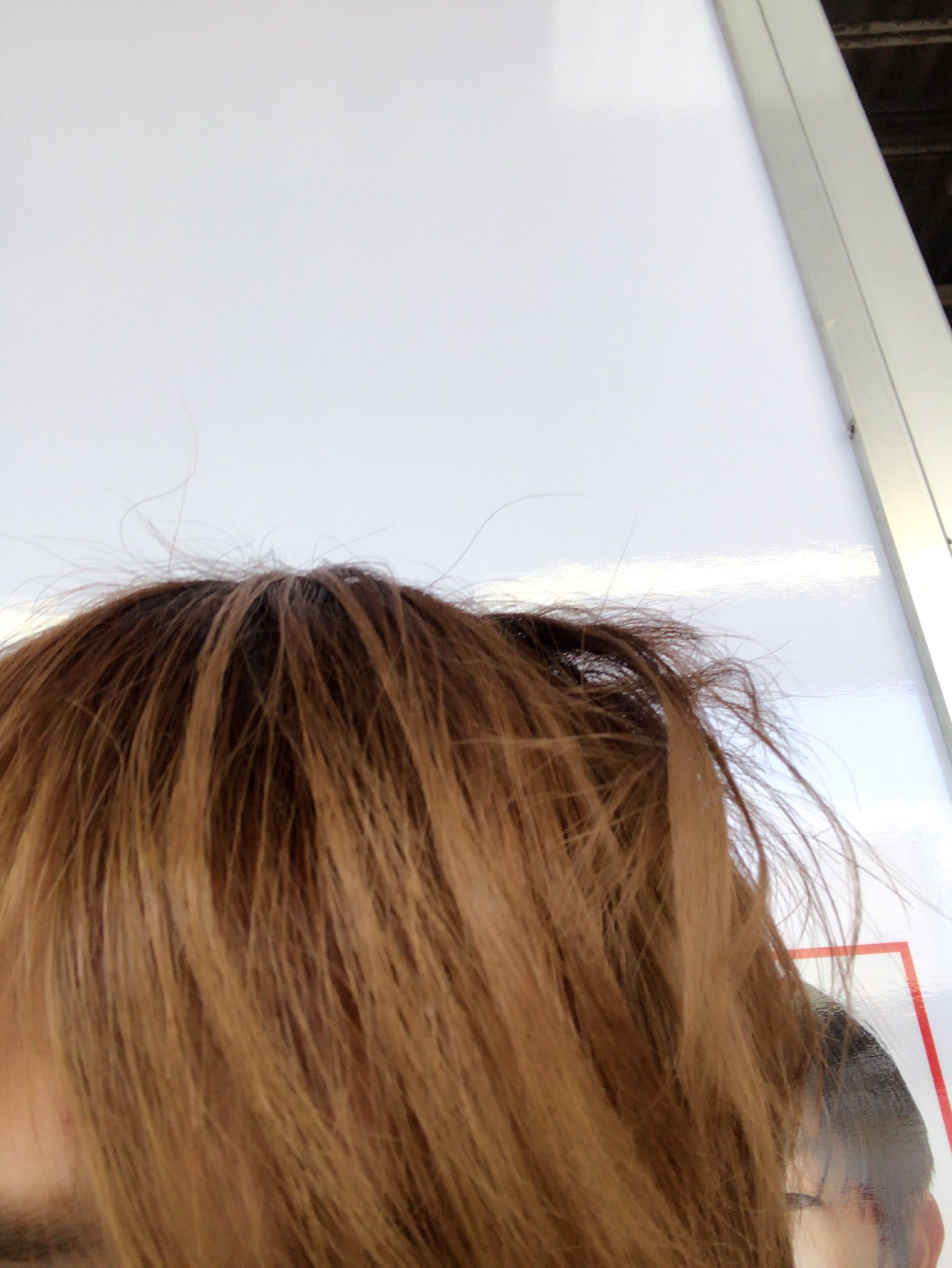 椿あり 今日早かったから寝癖が 直らない T Co Xdyz9tdhhg Twitter