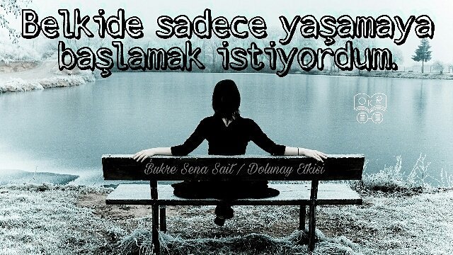 okunmusraflar's tweet photo. #bukresenasait #dolunayetkisi #leydievans #kitap #book #read #reading #reader #okuma #instakitap #tavsiyekitap #kitaponerisi #blogtur https://t.co/iVTEDRJbmA
