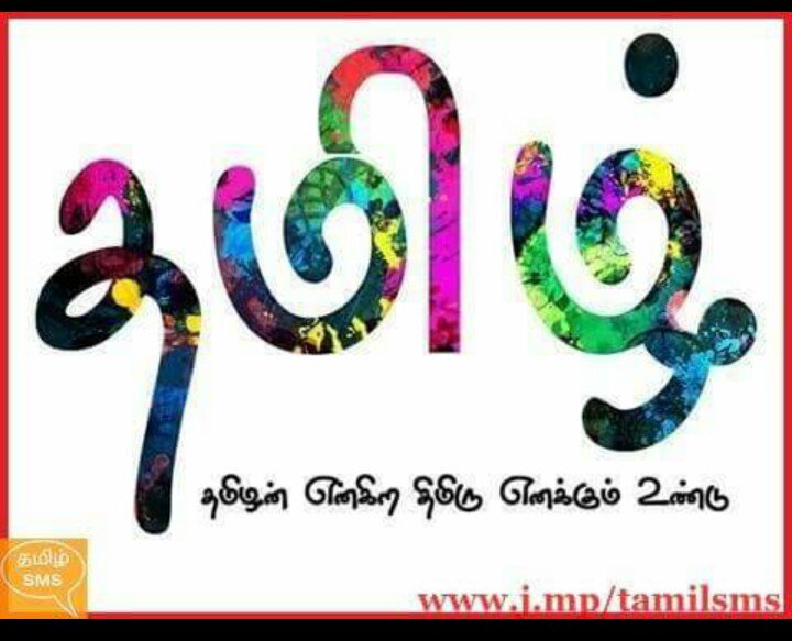 Vijay80977312's tweet photo. #wedojallikattu #jallikattu #tamilnadu #savejallikattu #coimbatore_youth_rocks #alanganallor #protest #incoimbatore https://t.co/00X3eALwRY