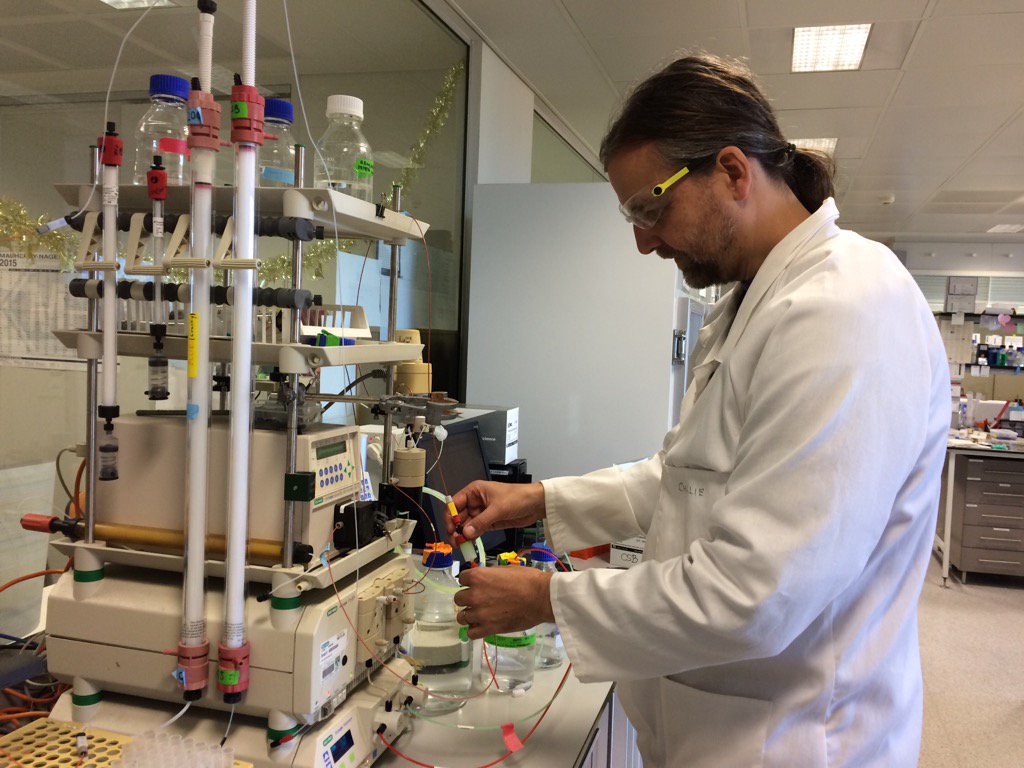 Andrew Peele tweet media