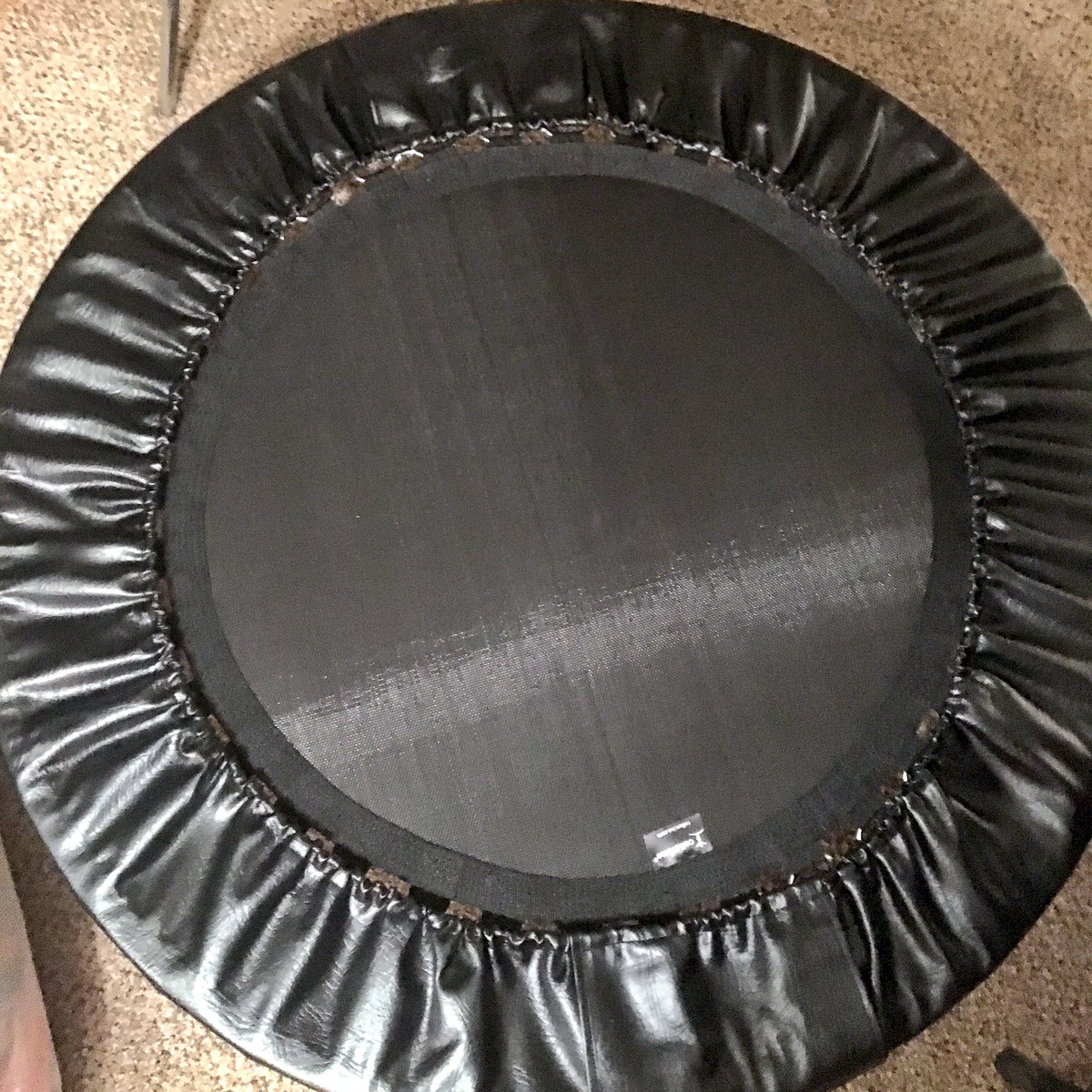 J_Ruud's tweet photo. Love my mini trampoline!! #cellercise https://t.co/E4O4alRZX7