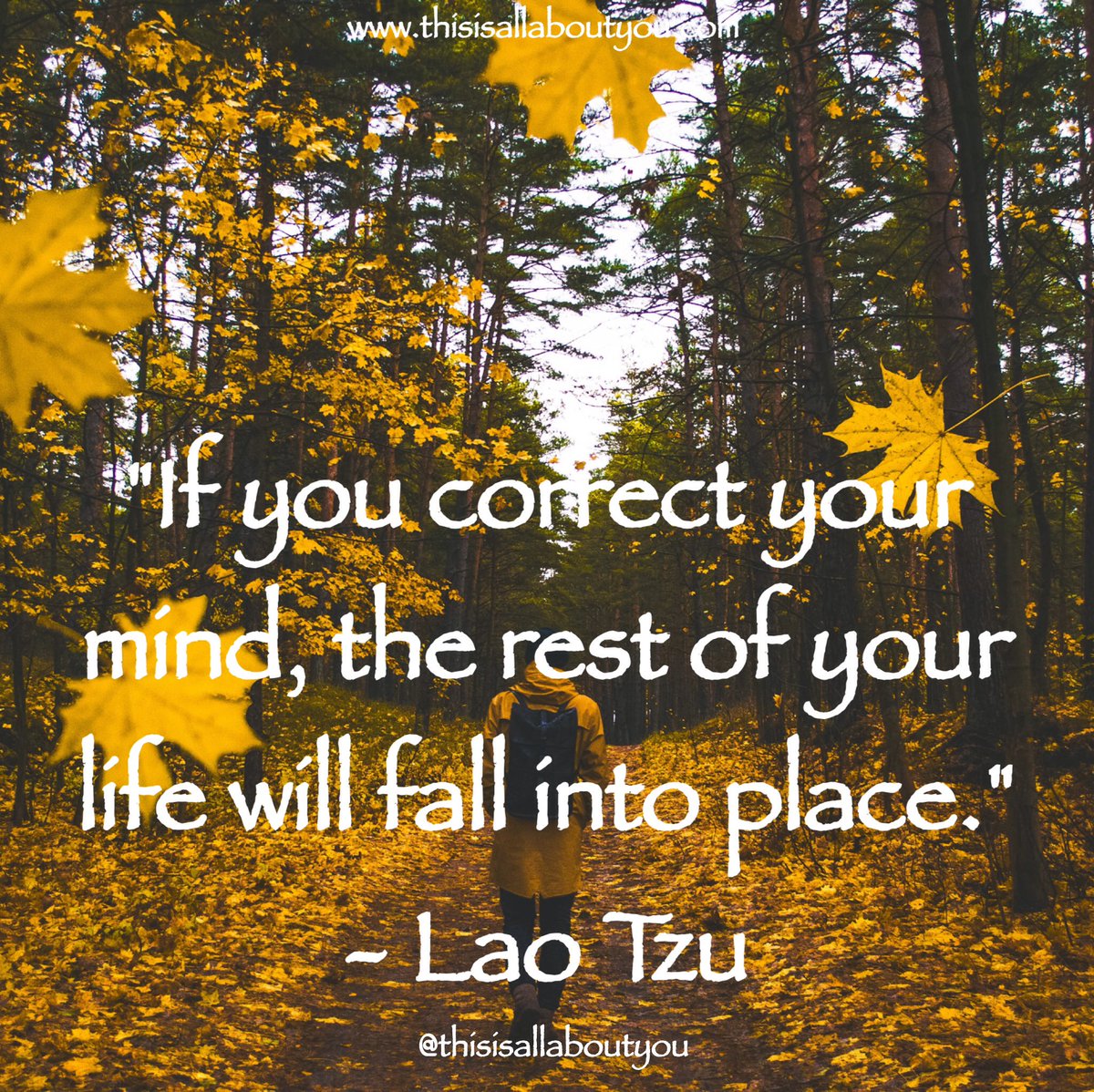 tiaaytiaay's tweet photo. "If you correct your mind, the rest of your life will fall into place." - Lao Tzu #tiaay #quote https://t.co/bqIzw2ZgtO