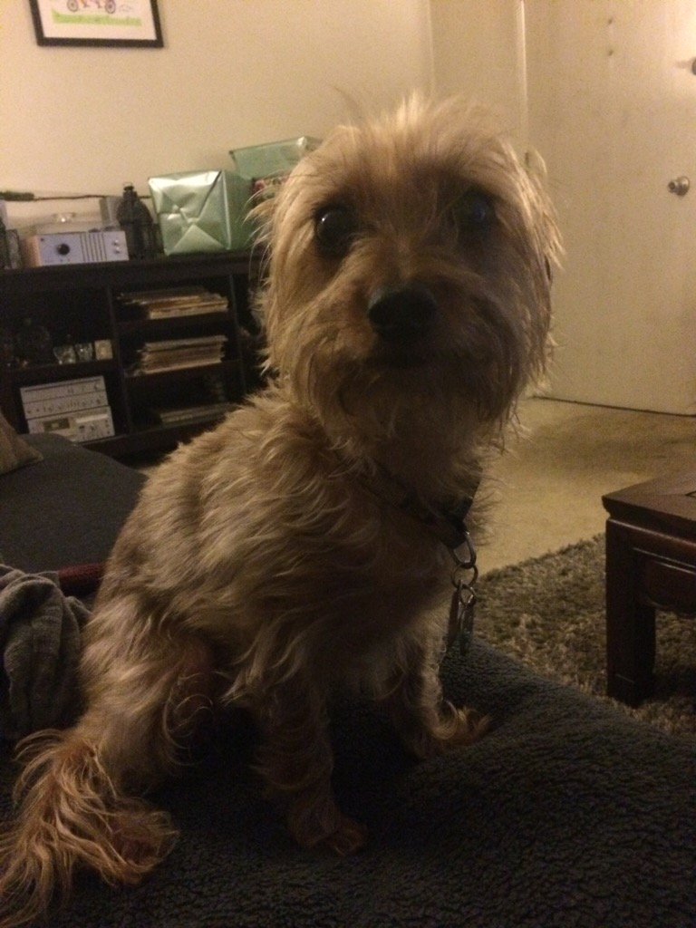 soqui1982's tweet photo. What are you looking at! https://t.co/JsFyBvDLNn