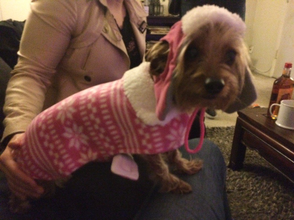 soqui1982's tweet photo. I got a new winter outfit. https://t.co/2OIMB44iPm