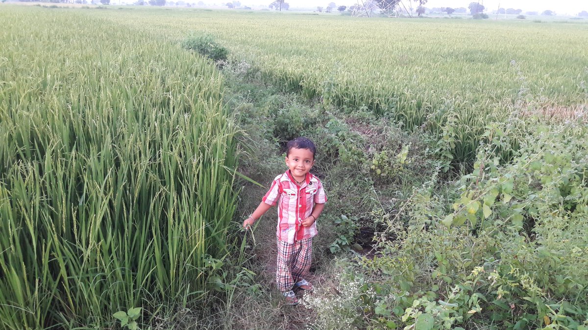 ShashiArjula's tweet image. Spreading love for farmers and interest on farming to children. Join me on IoT for farming in India.

#JaiKisan, #IoTforFarming, @AgriGoI