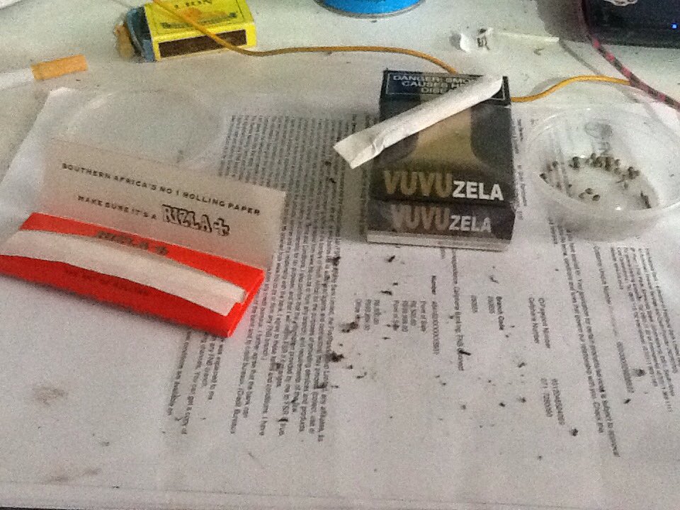 I walked into Loftus prepared to take a selfie next to their bull statue <a href="/Dawitt_K/">Sensational</a>