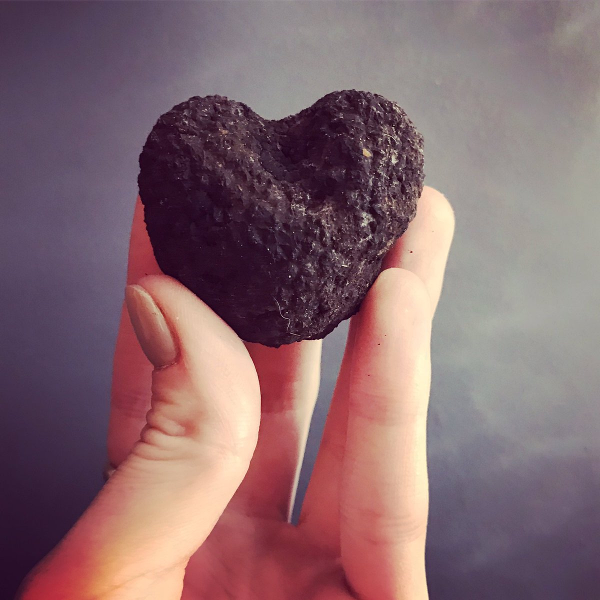 BoboSocial's tweet photo. We love a heart shaped #truffle! #truffleshavings #debaucheryburger #bobosocial https://t.co/xbZLUjBujg