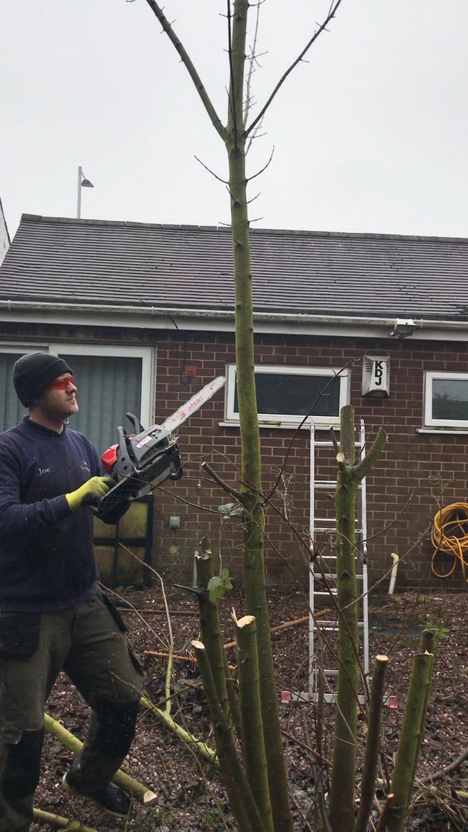 GardeningJandJ's tweet image. First big clearance job for 2017