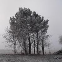 Chilly days in #Mayenne, the perfect time to plan a #summer break buff.ly/2iIl0ZE

#travel #voyager #vacances #jouetholidays #france
