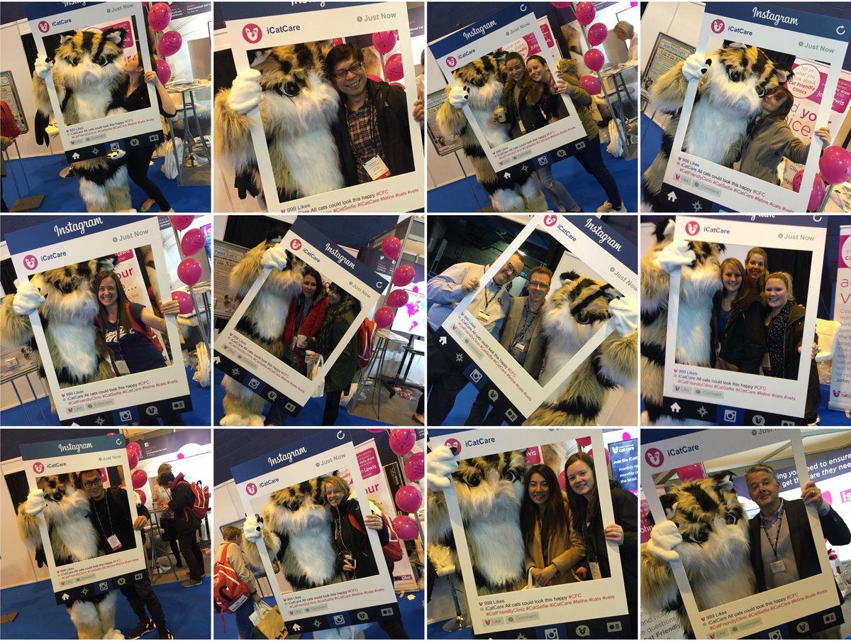 ISFMcats's tweet photo. We had a great time at #bsava2016 & our pre-BSAVA symposium last year and it looks like you did too! https://t.co/tlMquaEt6g #Throwback https://t.co/XZoQfpi1Gc