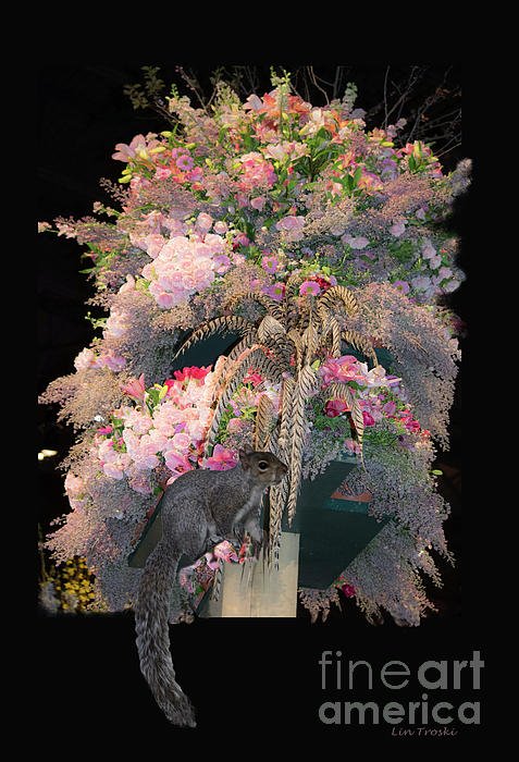 New artwork for sale! - "The Squirrel\'s Present" - fineartamerica.com/featured/the-s… <a href="/fineartamerica/">Fine Art America</a>