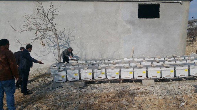 KilisGundemi's tweet photo. Kadıoğlu, Arıcıları Ziyaret Etti: GIDA TARIM VE HAYVANCILIK İL MÜDÜRÜ SONGÜL KADIOĞLU,… https://t.co/2RH390htda #Kilis #Arıcıları #Etti https://t.co/65oGWzcpNe