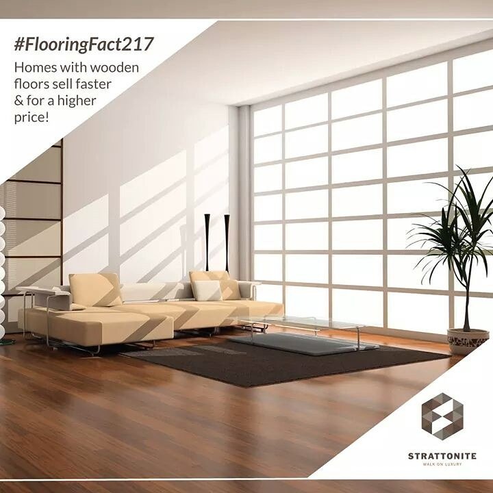 Strattonite_'s tweet photo. Did you know that your floor could make you money? #flooringfact https://t.co/joq9F3oN4j