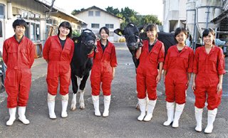 酪農家の嫁 酪農家の嫁