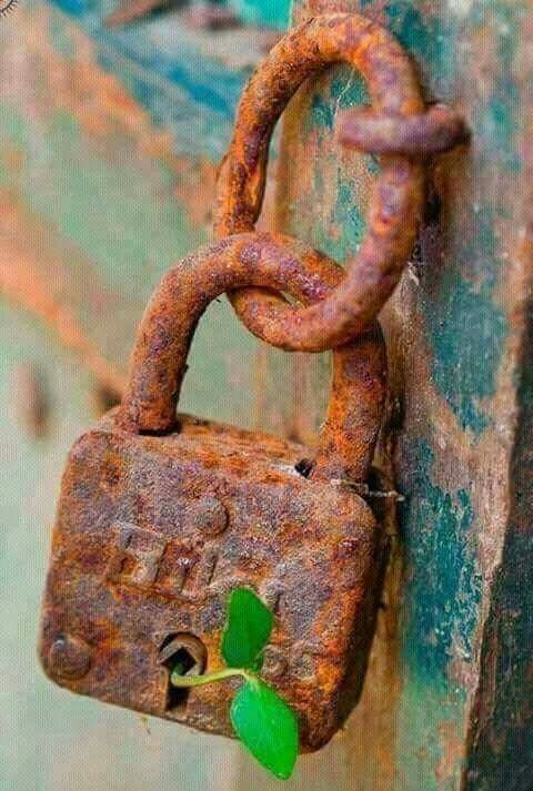 saraas_Kitchen's tweet photo. No one can stop the #Life
#sara #food #nature https://t.co/oisfOkmKsZ