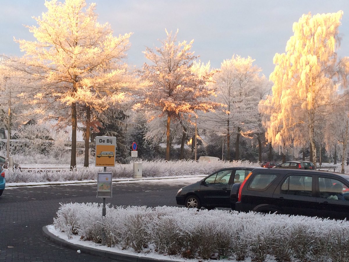 HelmaMom's tweet photo. Goedemorgen sunshine!!.. #hoogeveen #drenthe #krakeel https://t.co/CUp8iK1keh