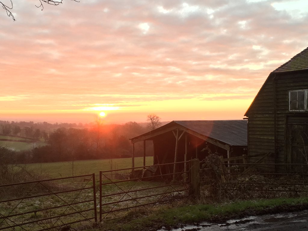 filletandbean's tweet photo. Spectacular sunrise this morning @SurreyHillsAONB #surreyhills https://t.co/lBTwBRr3v7