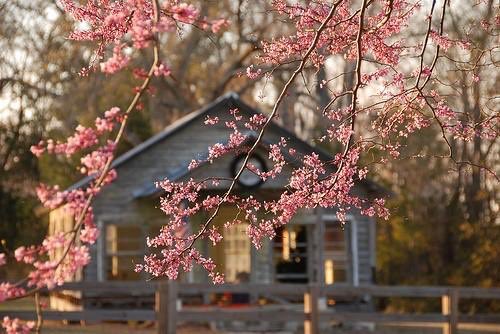 اللهم إرحم من كان بشوش الوجه و طيب القلب اللهم إجعل المسك ترابه و الحرير فراشه اللهم إرحمه و إغفر له و إجعل الفردوس دارهـ'
رحمك الله يااخي