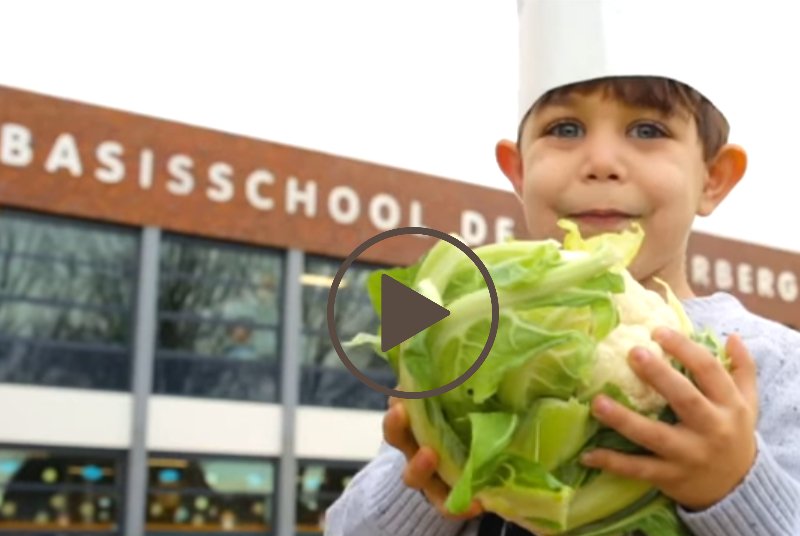 De 'Jongeren op Gezond Gewicht' campagne pakt gezondheid ludiek aan met een groentelied. ht.ly/TQ8X30875kk
