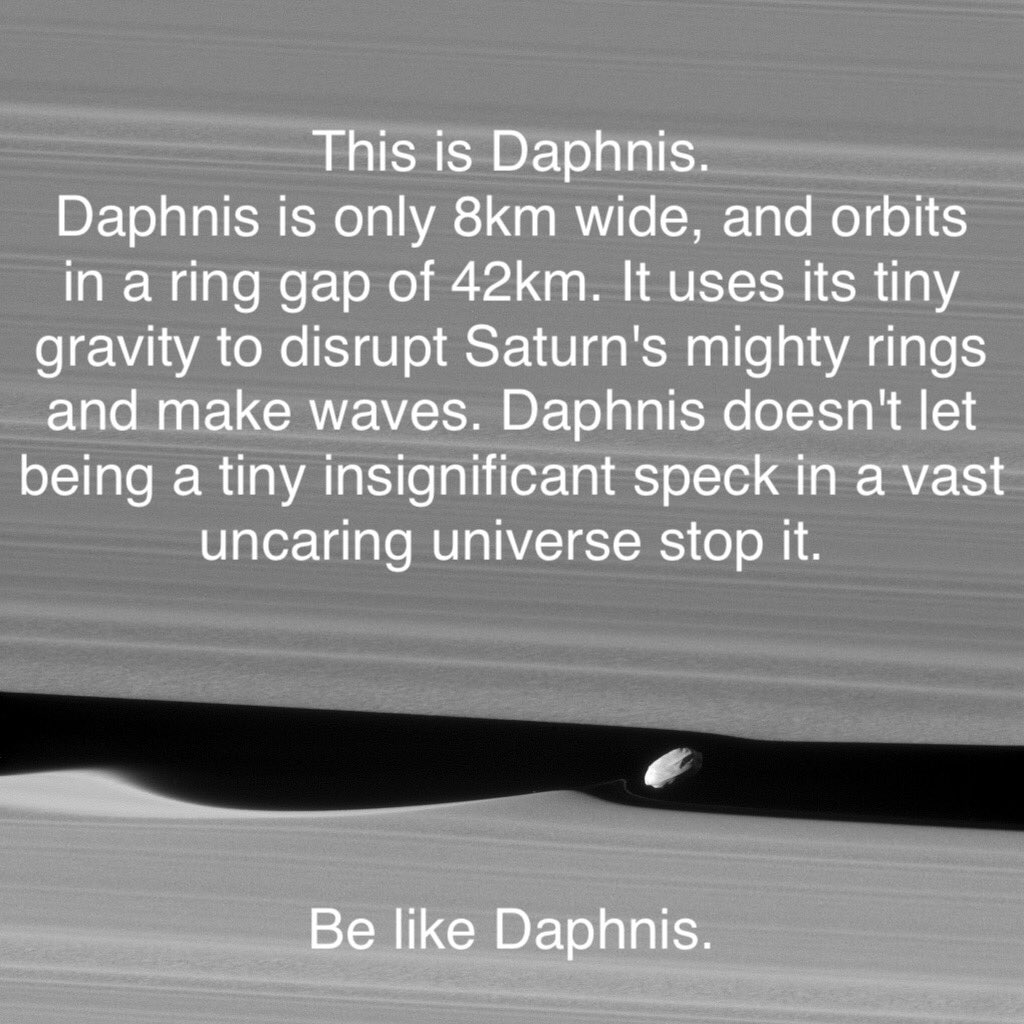 Image of tiny moonlet orbiting in dark gap in Saturn's rings. Waves of disruption can be seen at edges of gap. Added text reads:
"This is Daphnis. Daphnis is only 8km wide, and orbits in a ring gap of 42km. It uses its tiny gravity to disrupt Saturn's mighty rings and make waves. Daphnis doesn't let being a tiny insignificant speck in a vast uncaring universe stop it. Be like Daphnis."