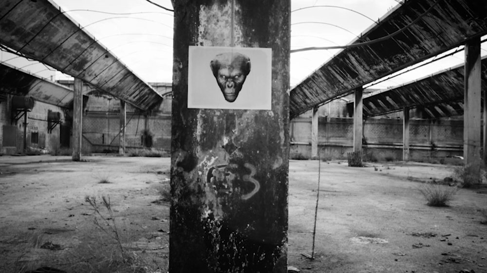 IAM's tweet image. RT ce tweet pour découvrir un extrait en exclusivité de notre nouveau clip «Monnaie de singe» ce soir à 19H #Rêvolution #MonnaieDeSinge