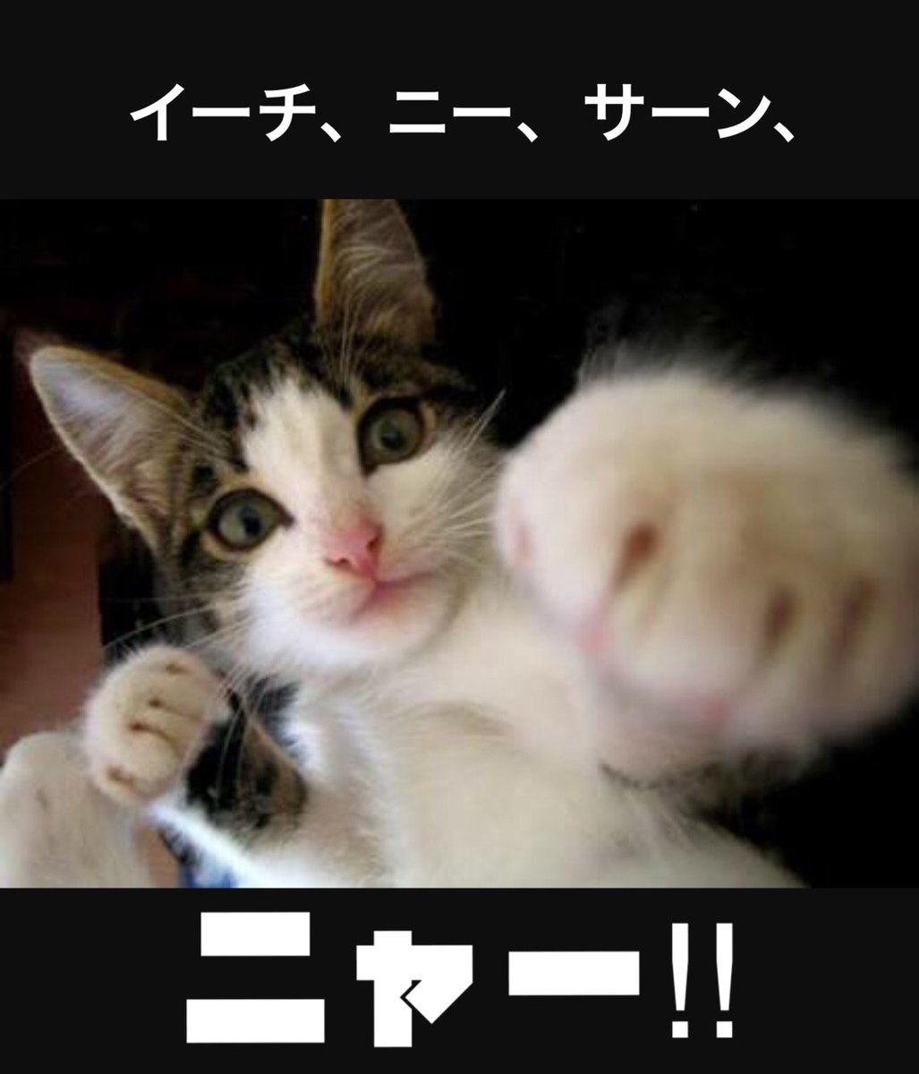 mtaro884's tweet image. あの掛け声(≧▽≦)