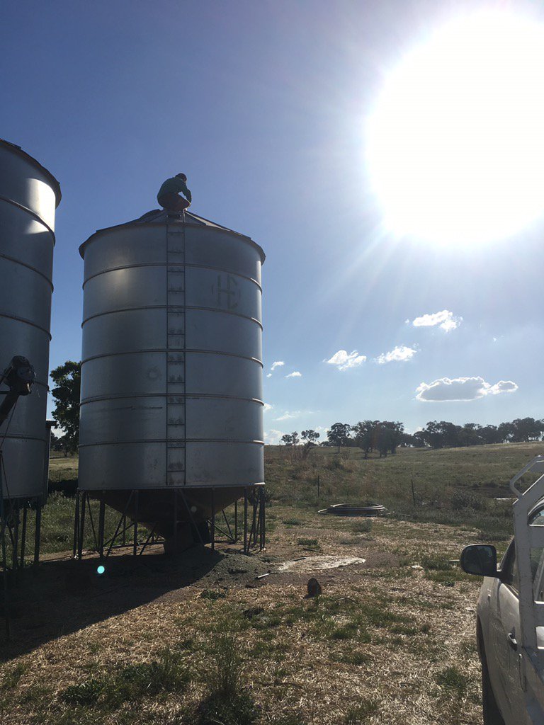 Jack_R_Edwards's tweet photo. Hopefully going to finish #harvest16 tonight b4 rain. No storage left 4 the #lupins hopefully will fit in trucks! https://t.co/6pJ5dBljEI
