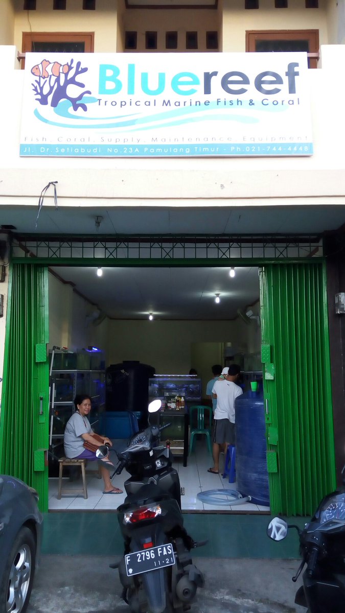 zulpank's tweet image. Bantu sundul gan. Ada toko aqurium laut di pamulang deket komplek BPI @Info_Ciputat @INFO_PAMULANG @AreaPamulang @Bluereef_Pams