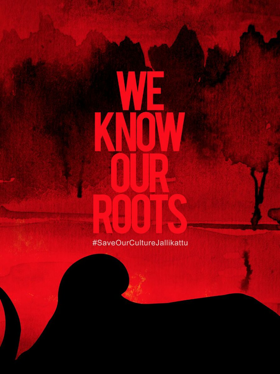 TheShowtimeReds's tweet photo. Dont Let the #jallikattuUprising 
Get RED With BLOOD  
We Tamilians are Peace Loving ,
But Not When We are Cheated 

#JusticeforJallikattu https://t.co/cCVaO6kidh