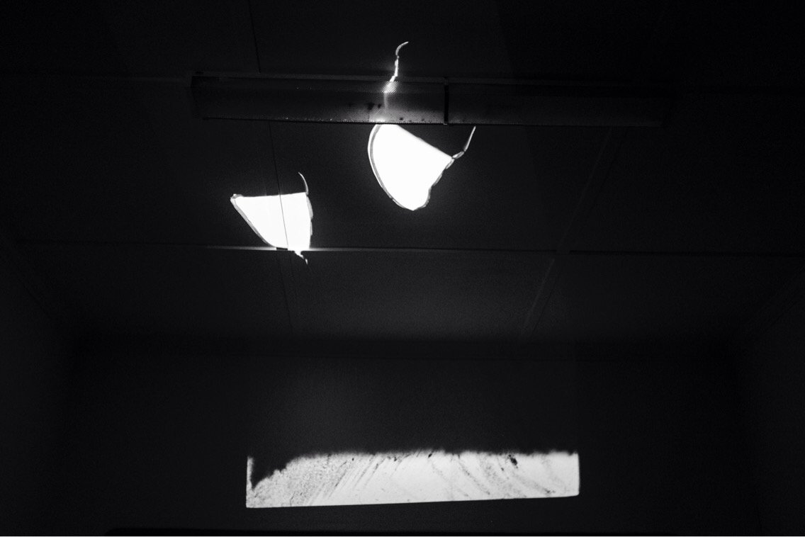 BonShepherd's tweet image. My Friend the slide projection.