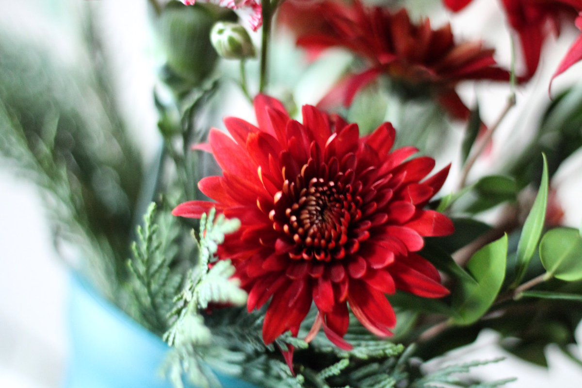unfortunately had a horrible flu over the holidays. still i created &amp; photographed 3 lovely #FloralArrangements ✨💐 #chrysanthemums #daisies
