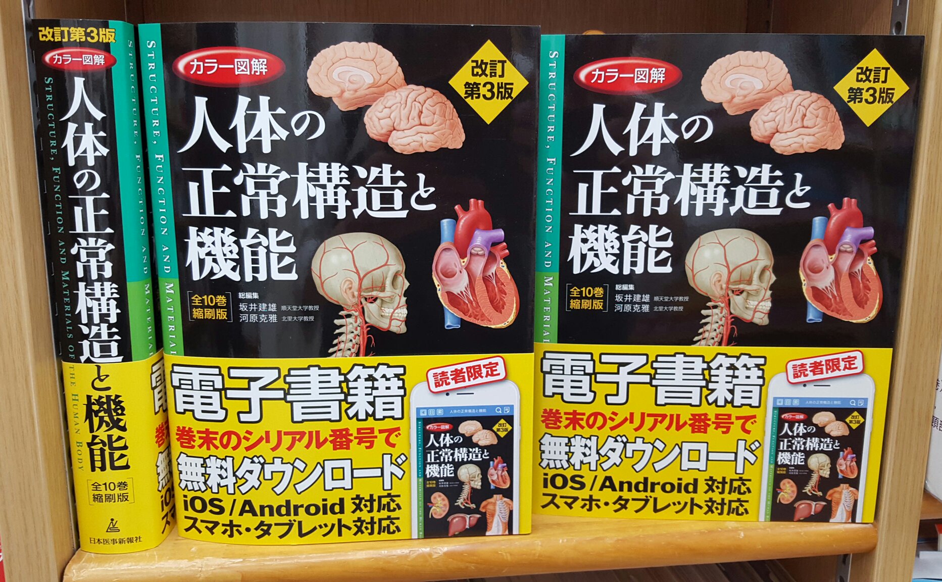 カラー図解人体の正常構造と機能 = STRUCTURE, FUNCTION A… カラー図解