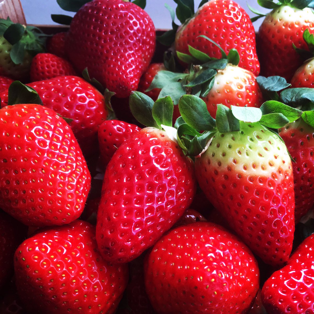 saborapadel1's tweet photo. Os esperamos para probar nuestros zumos de frutas naturales y smoothies 😋🍊🍓🍋🍇🍍🍹 #smoothie #juice #fruit #smoothies #goodmorning #fuengirola https://t.co/F9FcrLSTcr