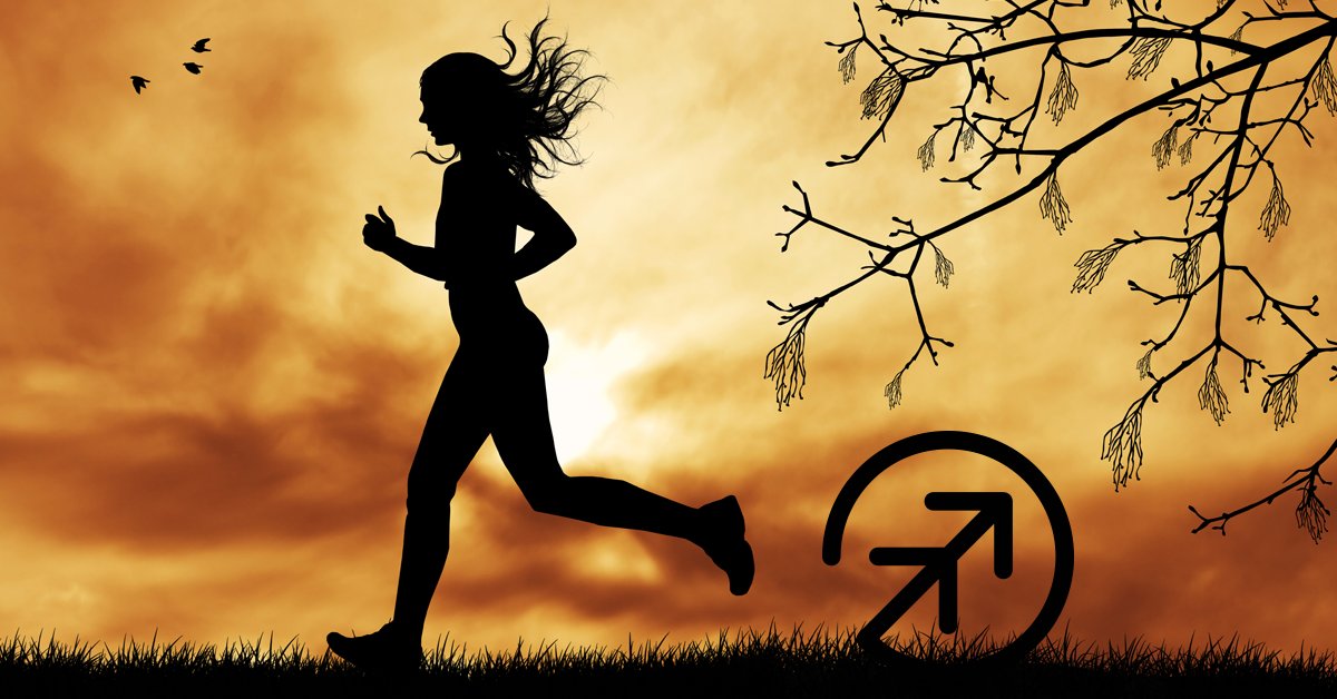 OceanNet_NL's tweet image. Forwarding with the plus of additional service… that’s #OceanNet.
  We go that extra mile. #transportworldwide #transport #containers