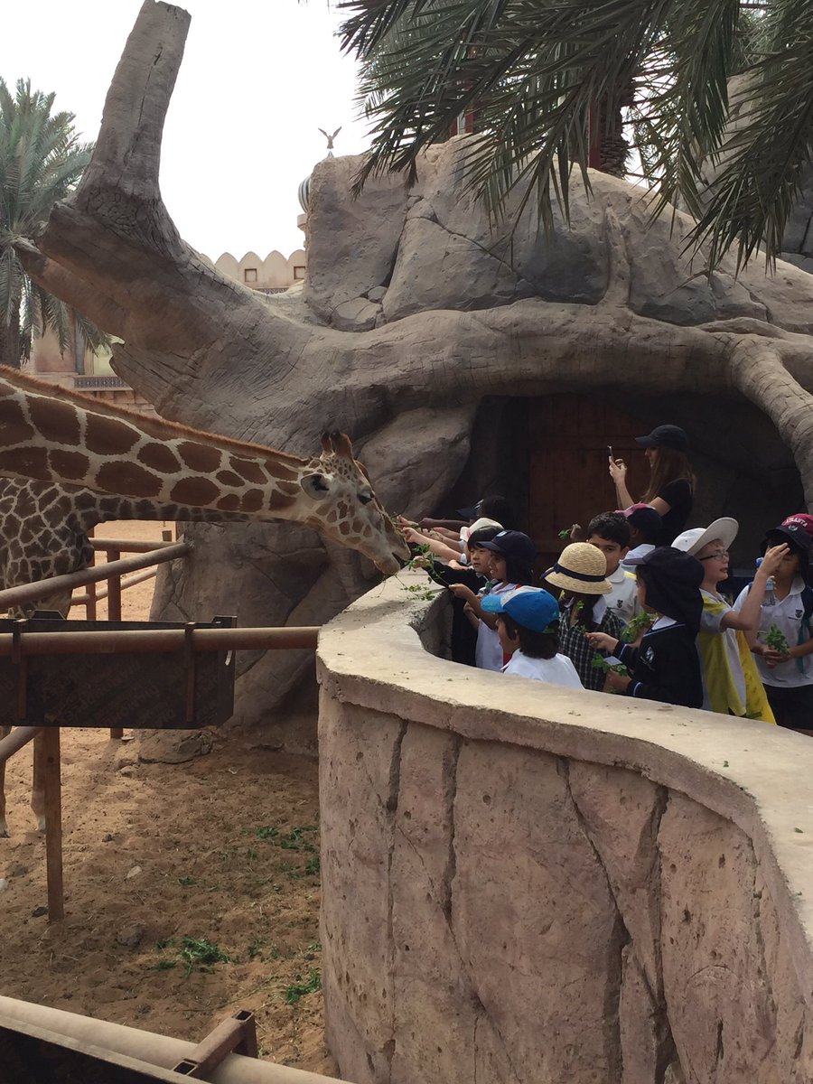 BCADpreprep's tweet photo. Fun, fun, fun at the zoo today @BCADyear2  #BCADactivities @BCAbuDhabi https://t.co/O6pzSSUDbf