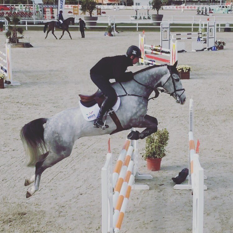 Fran Callan (@francallan) on Twitter photo Feliano B jumping double clear in the 7yrs <a href="/metolivanova/">MET Oliva Nova</a> <a href="/AriatEurope/">Ariat Europe</a> <a href="/equifit/">EquiFit</a> <a href="/Horseware/">Horseware Ireland</a> <a href="/nkiSederholm/">Sederholm Selected</a> @RED_MILLSfeed <a href="/EquitopMyoplast/">Equitop Myoplast</a> Feliano B jumping double clear in the 7yrs <a href="/metolivanova/">MET Oliva Nova</a> <a href="/AriatEurope/">Ariat Europe</a> <a href="/equifit/">EquiFit</a> <a href="/Horseware/">Horseware Ireland</a> <a href="/nkiSederholm/">Sederholm Selected</a> @RED_MILLSfeed <a href="/EquitopMyoplast/">Equitop Myoplast</a>