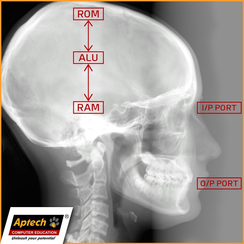EducationAptech's tweet image. That&apos;s the skull structure of #geeks #TechieHumor
