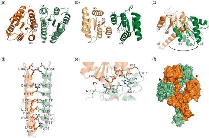 New pub <a href="/JMolBiol/">Journal of Molecular Biology</a> : Structure of full-length NtrX. A crystal of NtrX was 10,000th to be auto processed <a href="/ID30_MASSIF1/">MASSIF1</a> dx.doi.org/10.1016/j.jmb.…