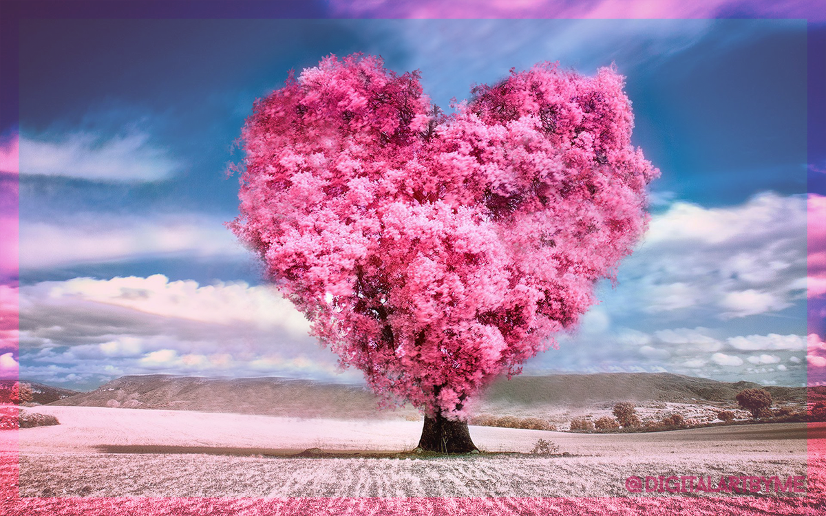 DigitalArtByMe's tweet photo. The tree of love #digitalart #bigartboost #imagemanipulation #love #tree #heart #valentines #bf #gf #photoshop #romance https://t.co/lbAHs6KppX