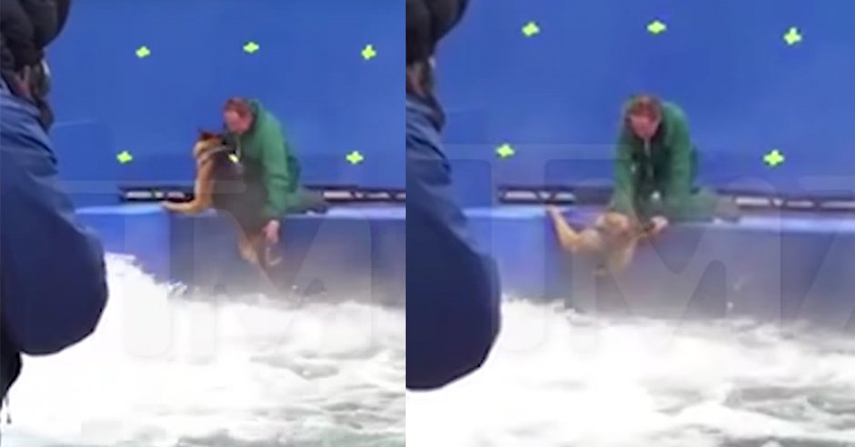 peta's tweet image. People everywhere are boycotting #ADogsPurpose after seeing this video. The dog looks so scared &amp;amp; tries to get away. peta.vg/dogspurpose