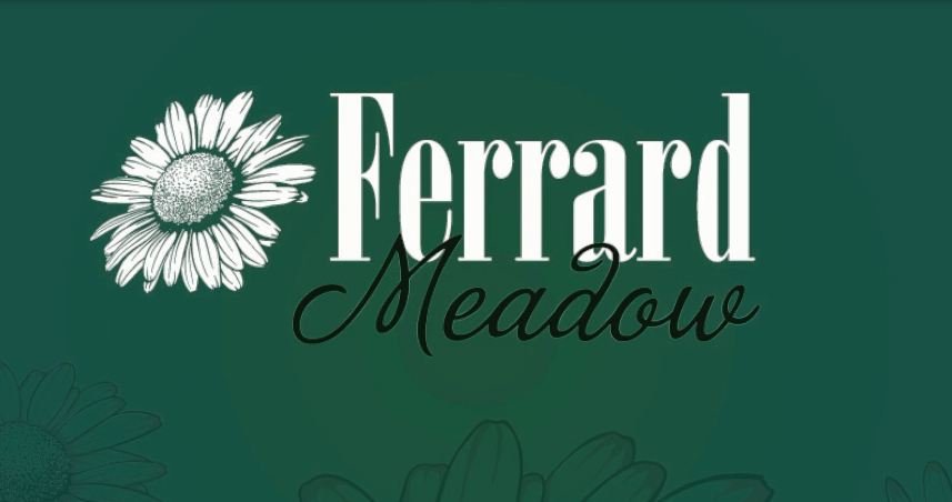 Colliers_NI's tweet photo. COMING SOON - FERRARD MEADOWS
A tranquil setting with #Retail #shopping &amp; #sporting facilities on your doorstep #NI
Contact us on 9024 4000 https://t.co/bznA4Ym7Aw