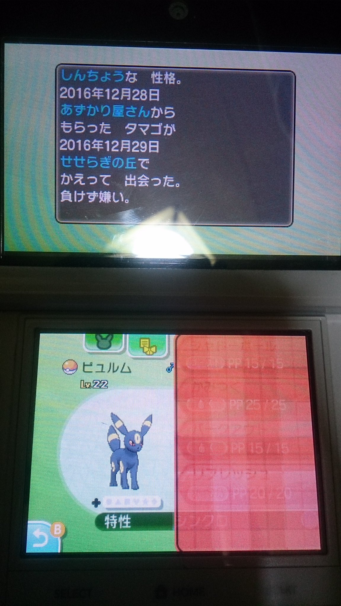 ユーリ 無双 Archerex24 ルナル むじゃき こっちはこっちでかっこいいと思う バドロ バンバドロ と悩んでルナルをメインに育てる事に決めた ステロを撒くだけの簡単なお仕事がしたいけどなかなか機会がない Nnの由来はルガルガン 夜 月 ルナ